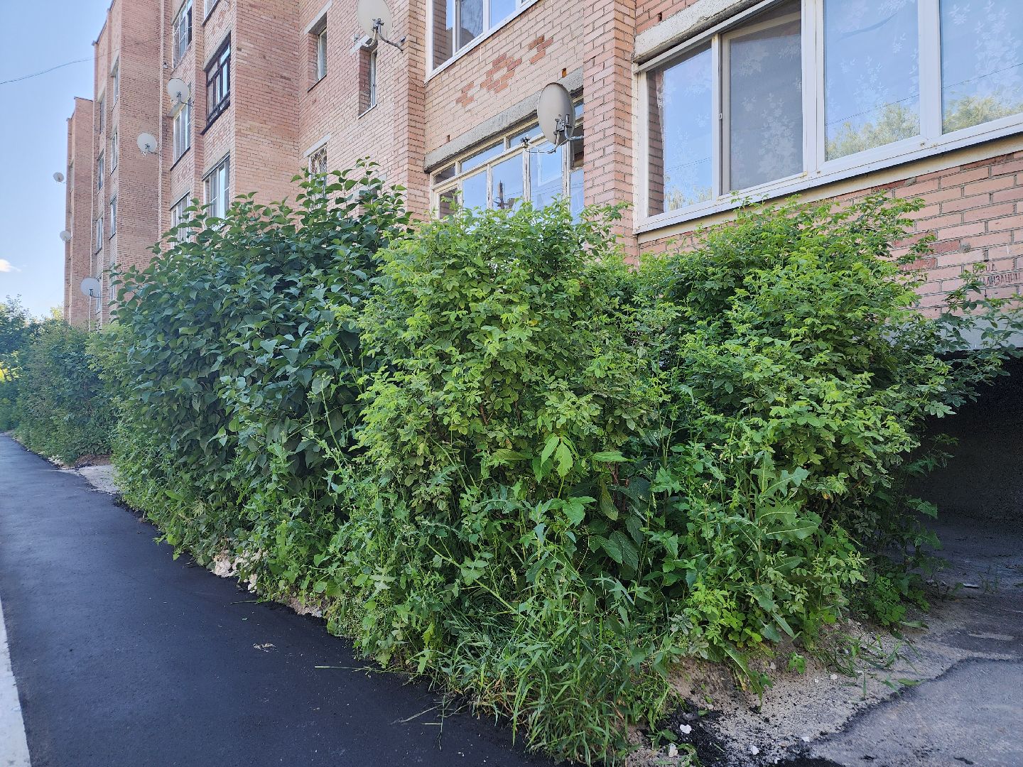 ремонт дорог во дворах, орехово-зуевский округ,