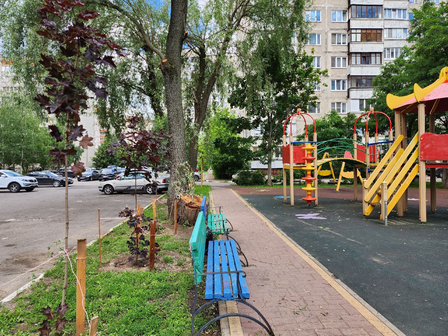 раменское, благоустройство, посадка деревьев, Левашова 31,