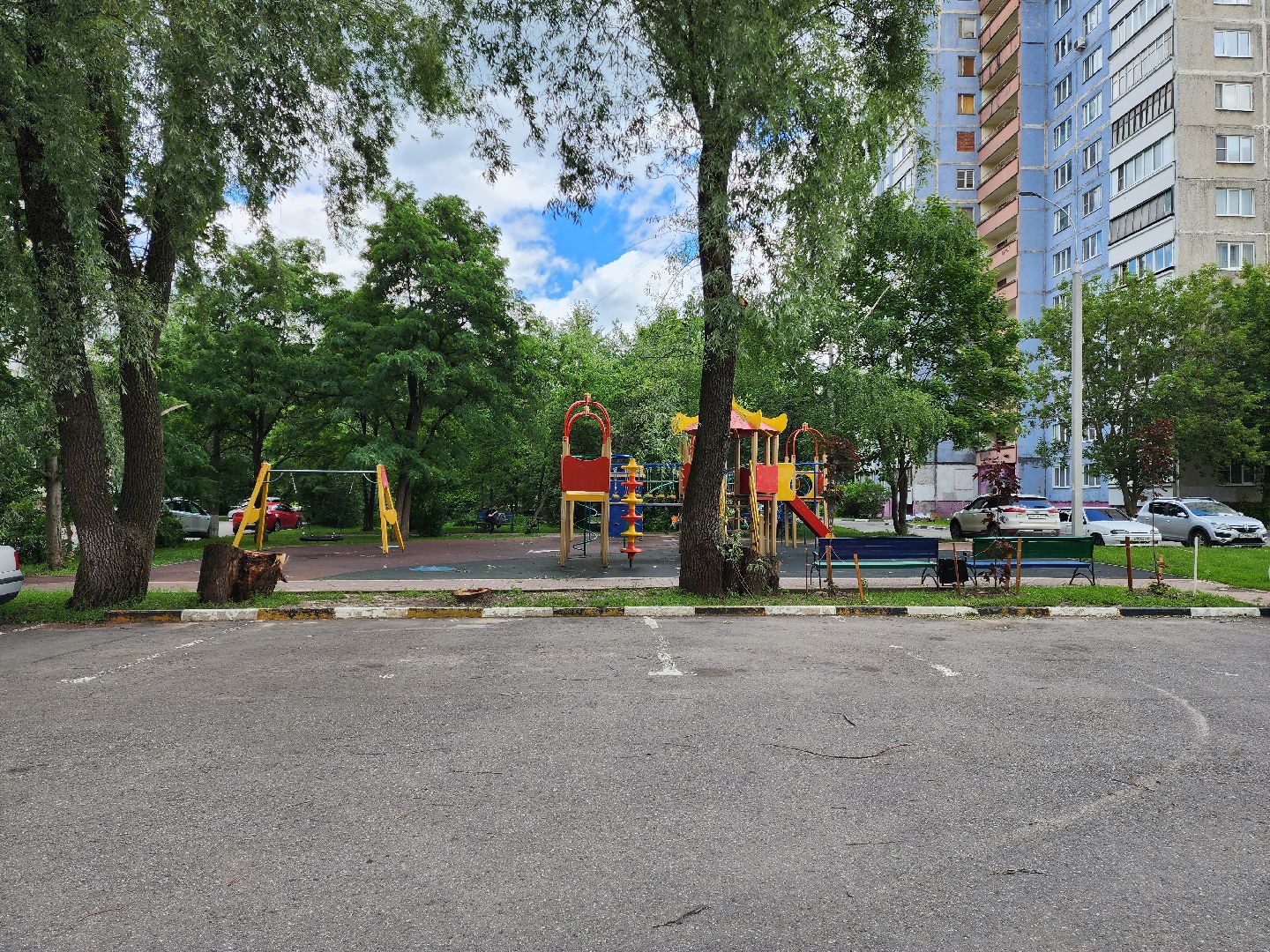 раменское, благоустройство, посадка деревьев, Левашова 31,