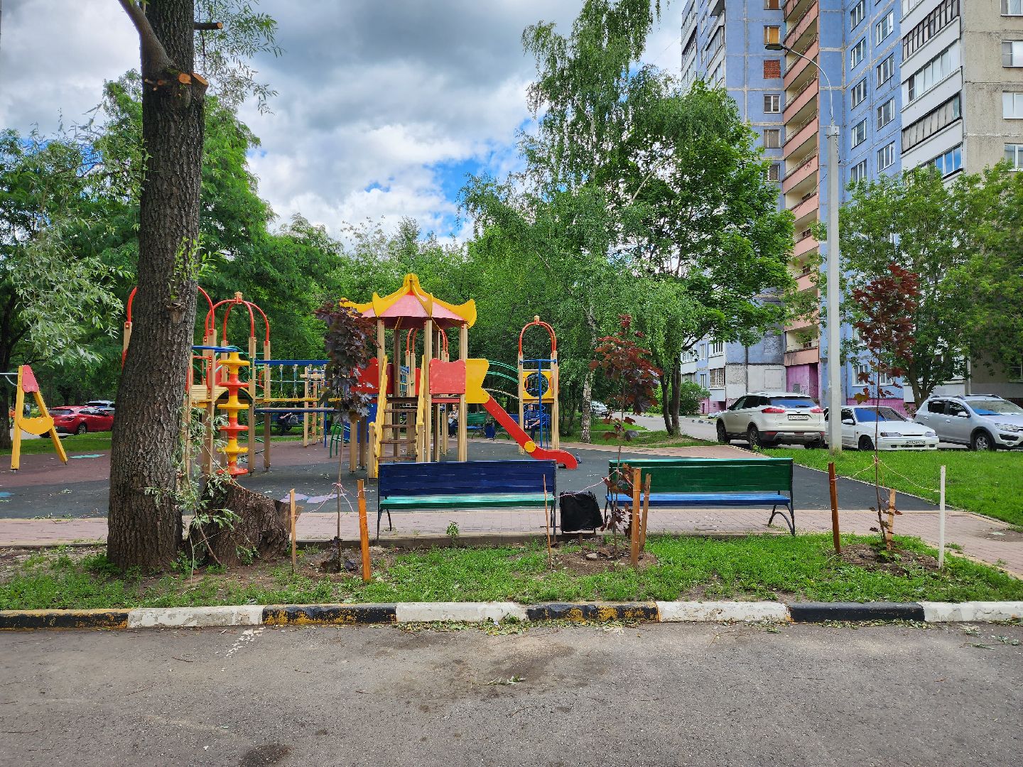 раменское, благоустройство, посадка деревьев, Левашова 31,