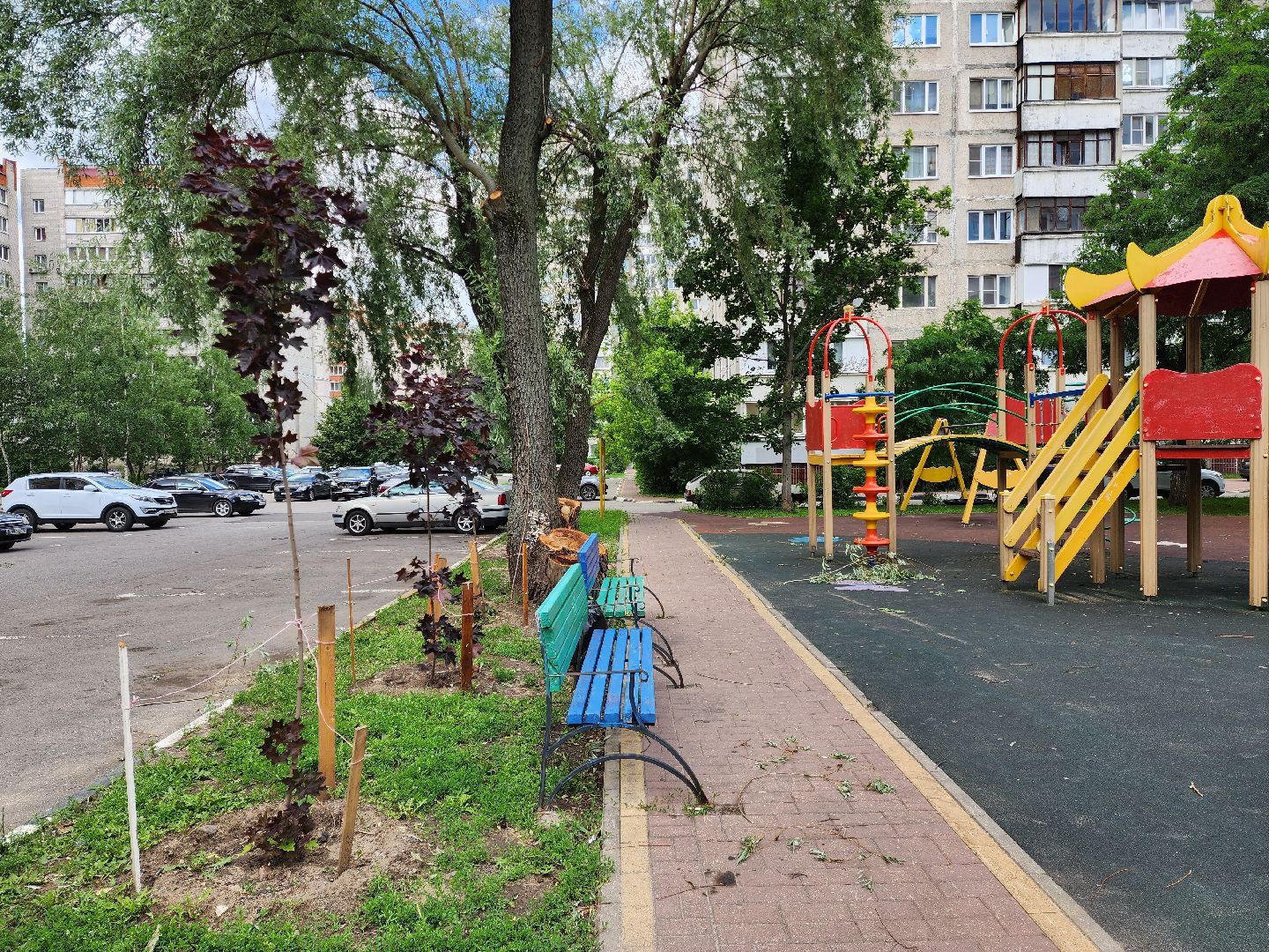 раменское, благоустройство, посадка деревьев, Левашова 31,