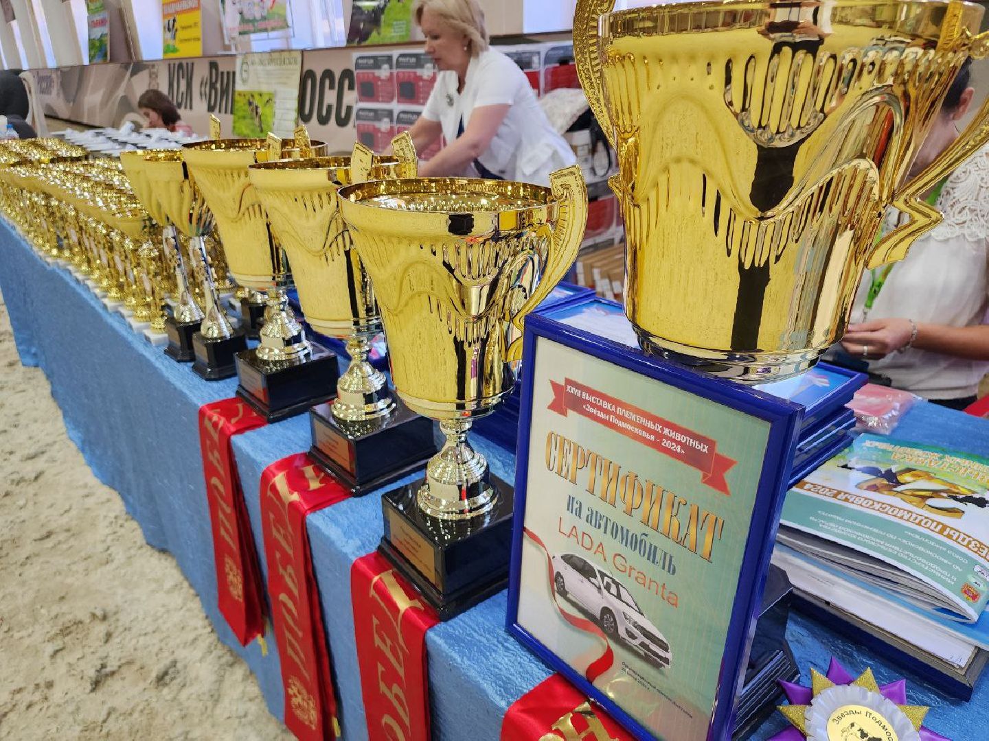 Племенные животные, сельское хозяйство, КСК Виват Россия, Деревня Орлово, Ленинский городской округ, Звезды Подмосковья - 2024,