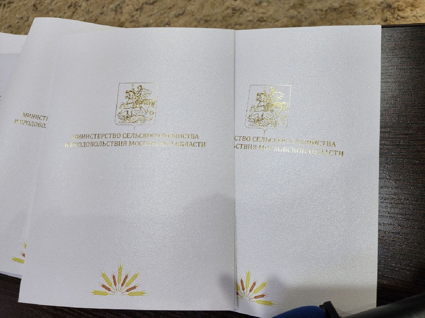 Племенные животные, сельское хозяйство, КСК Виват Россия, Деревня Орлово, Ленинский городской округ, Звезды Подмосковья - 2024,