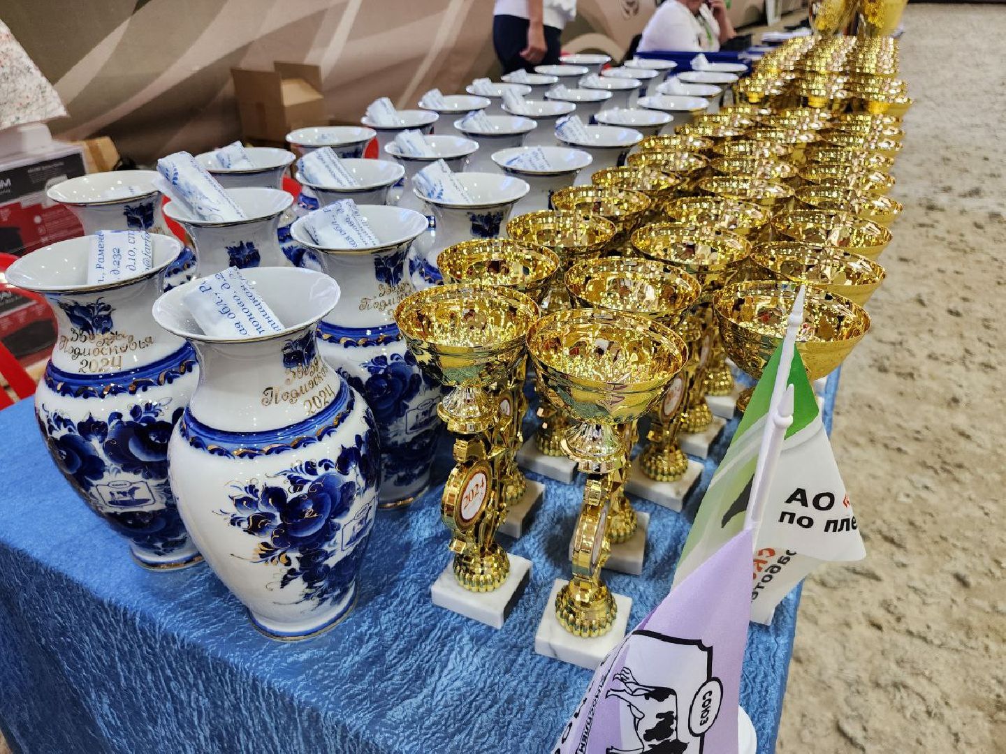 Племенные животные, сельское хозяйство, КСК Виват Россия, Деревня Орлово, Ленинский городской округ, Звезды Подмосковья - 2024,