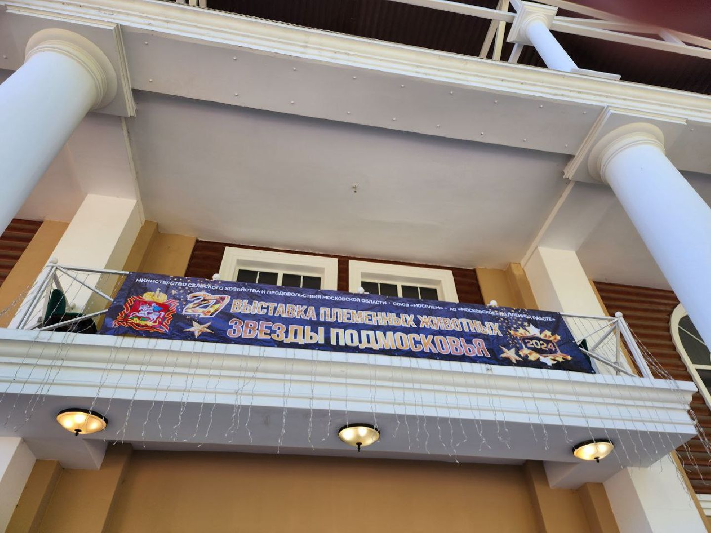 Племенные животные, сельское хозяйство, КСК Виват Россия, Деревня Орлово, Ленинский городской округ, Звезды Подмосковья - 2024,