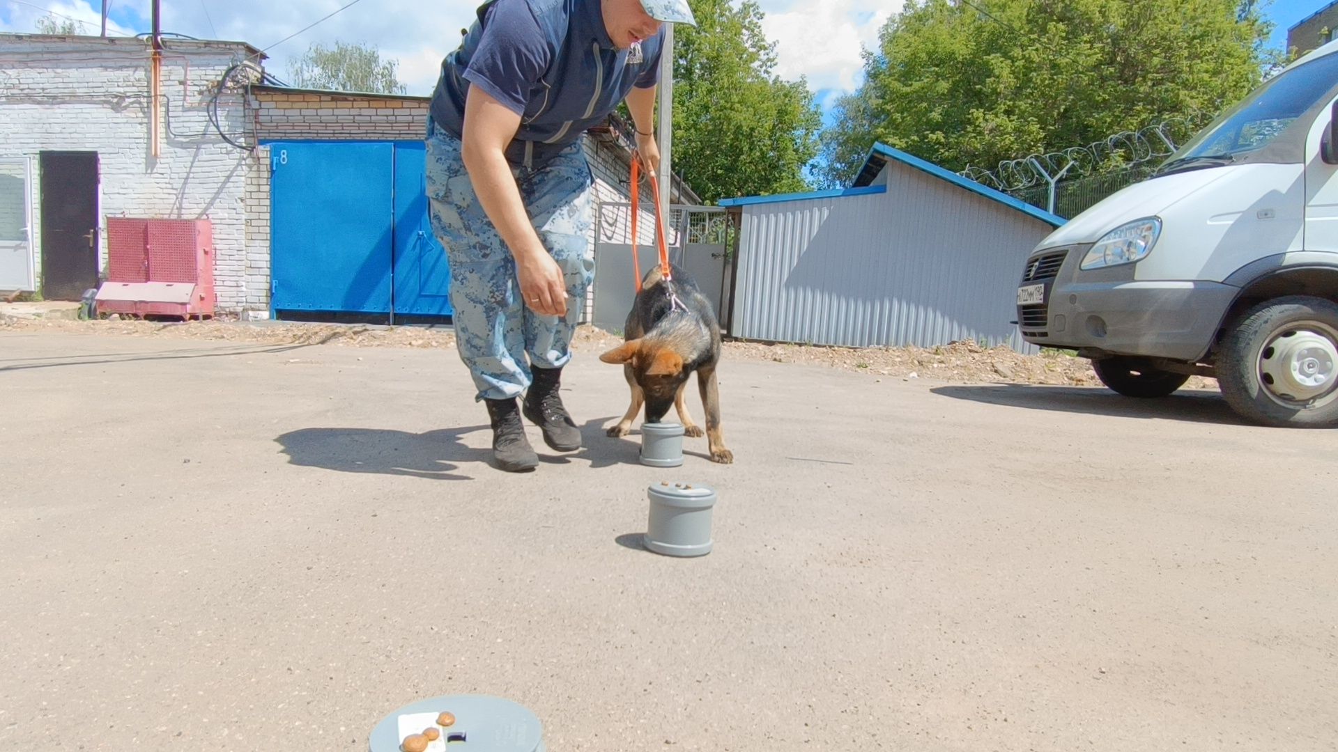 кинолог, полиция, лобня, собака,