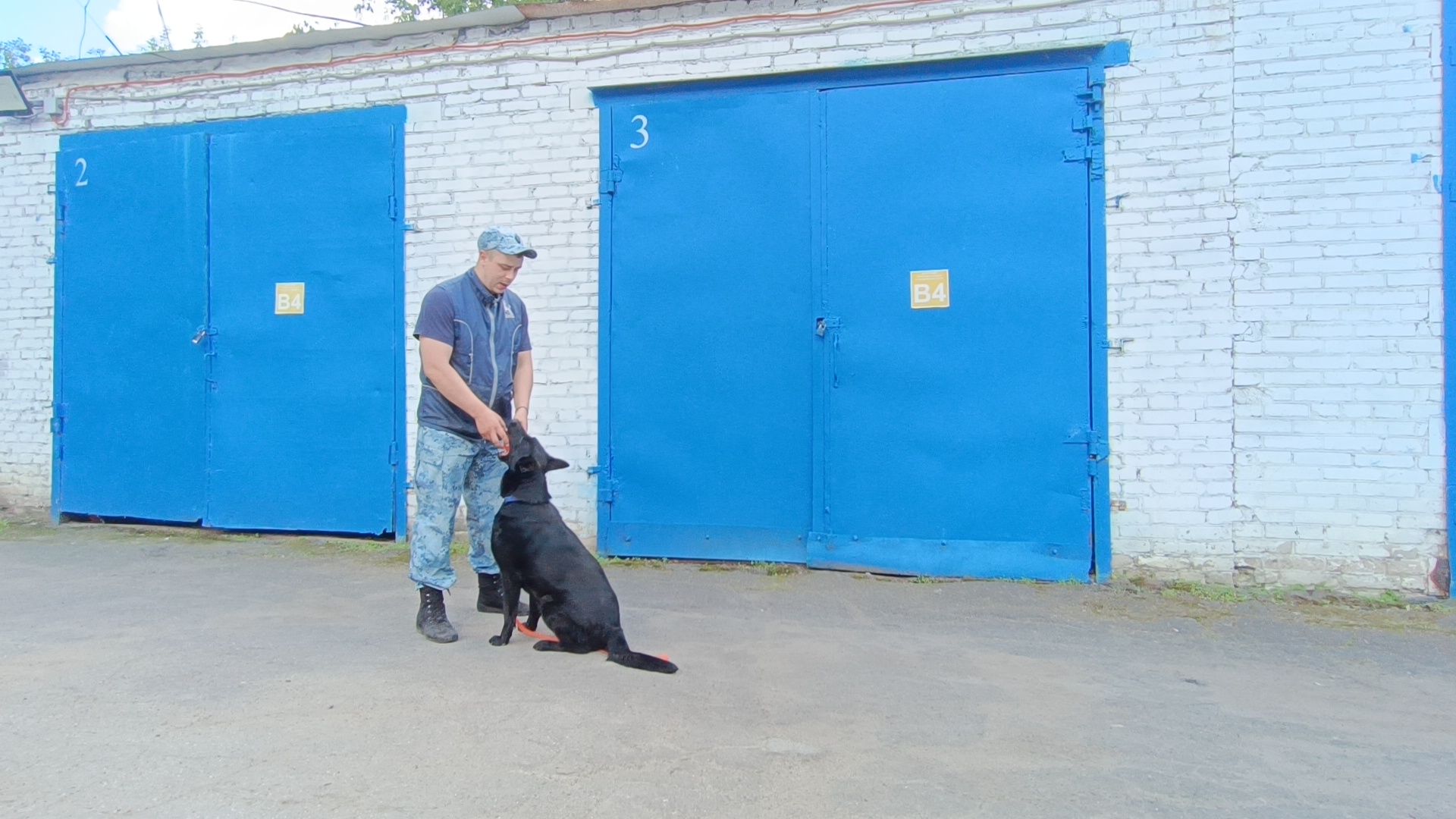 кинолог, полиция, лобня, собака,