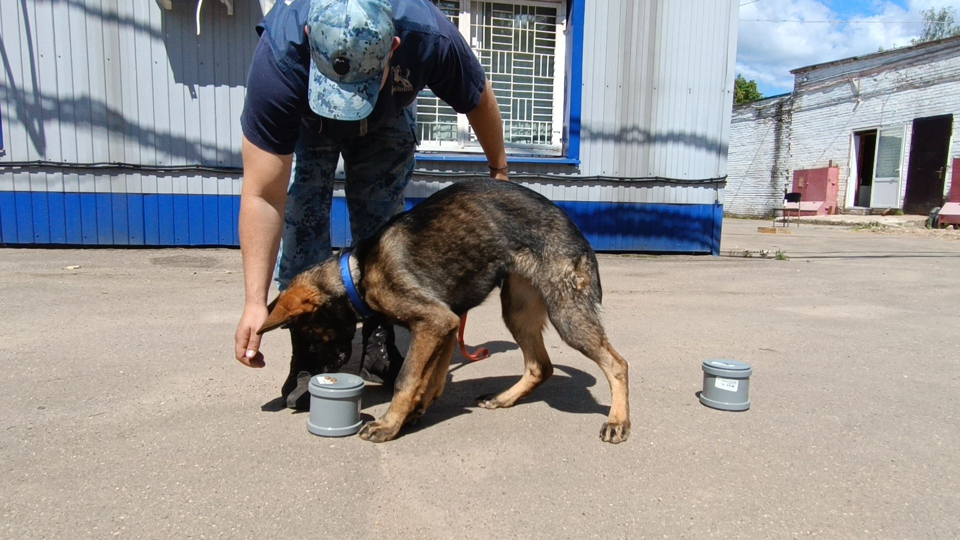 кинолог, полиция, лобня, собака,