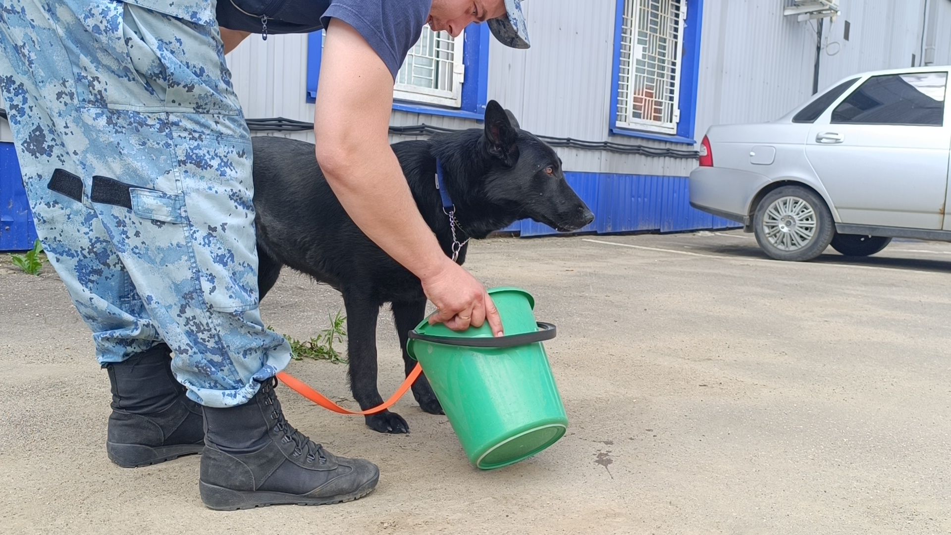 кинолог, полиция, лобня, собака,