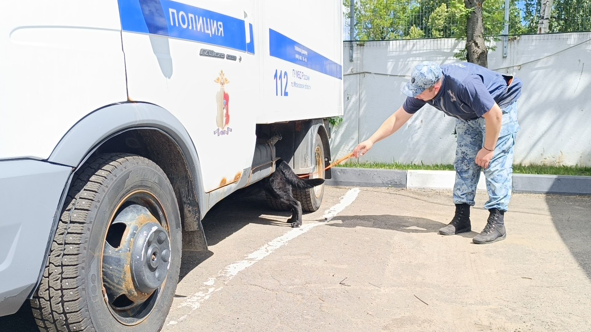 кинолог, полиция, лобня, собака,