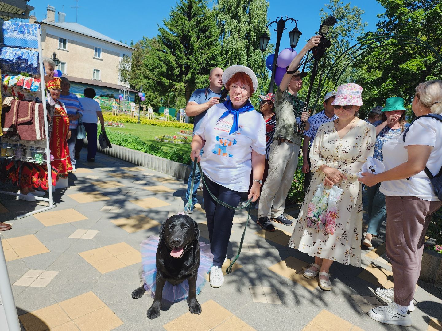 Егорьевск, Подмосковье, Московская область, серебряные волонтеры,