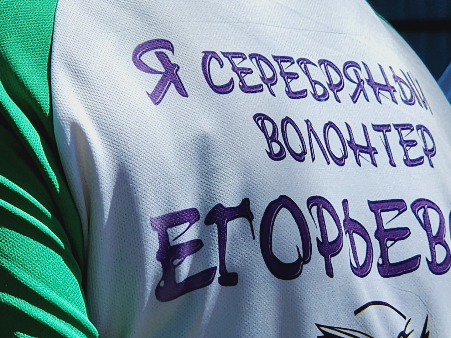 Егорьевск, Подмосковье, Московская область, серебряные волонтеры,