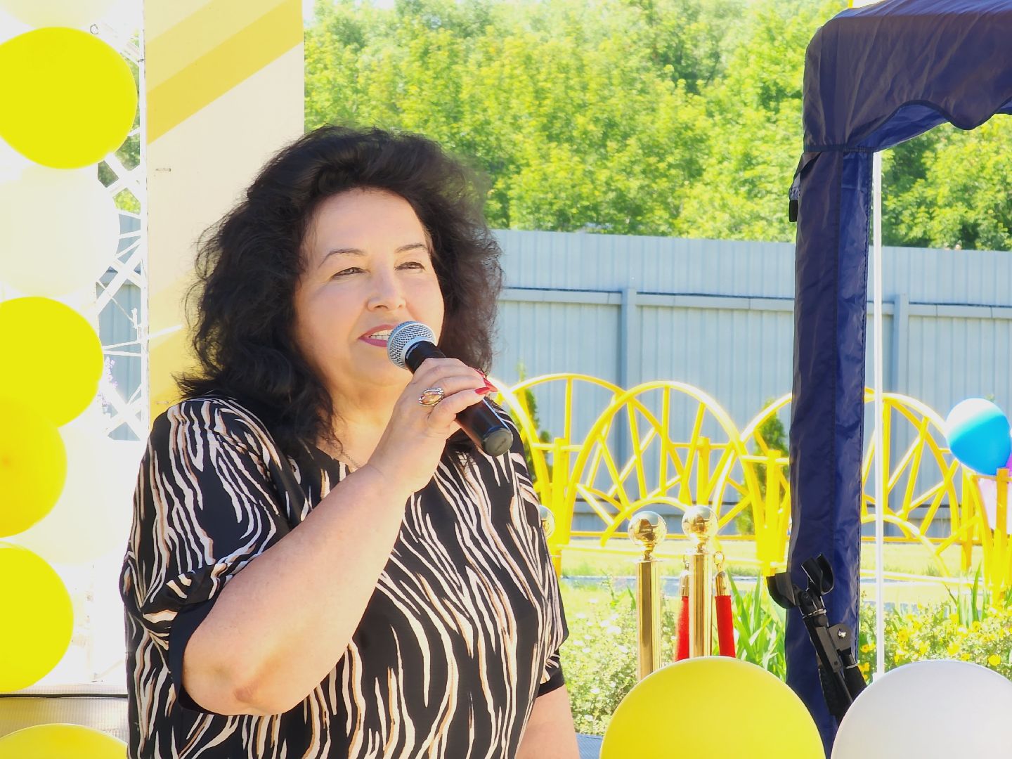 Егорьевск, Подмосковье, Московская область, серебряные волонтеры,