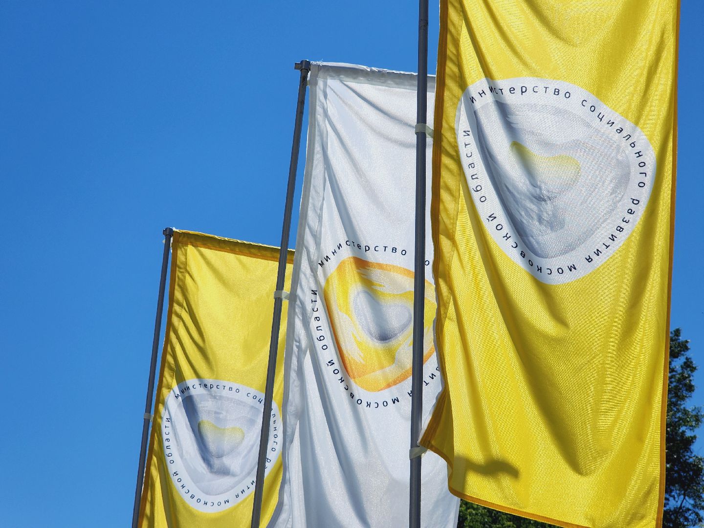 Егорьевск, Подмосковье, Московская область, серебряные волонтеры,