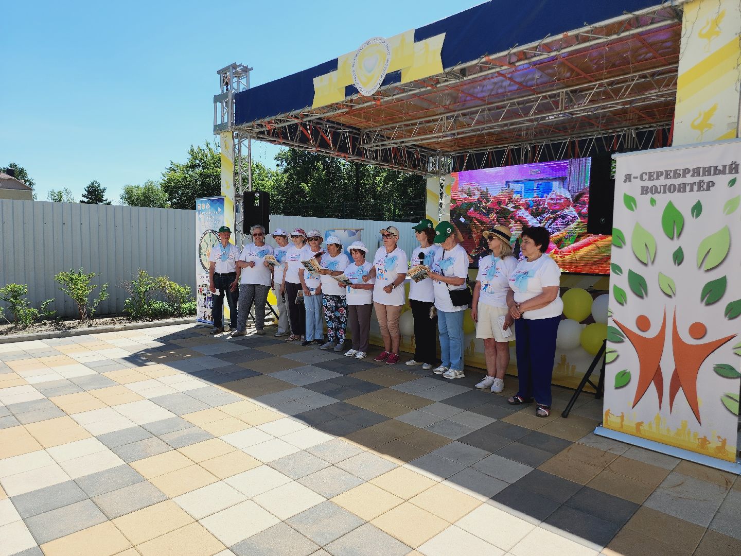 Егорьевск, Подмосковье, Московская область, серебряные волонтеры,
