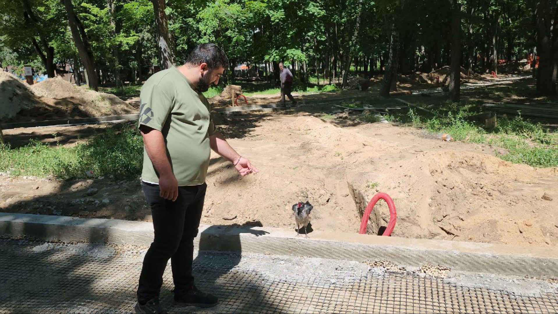 люберцы, наташинский парк, благоустойство,