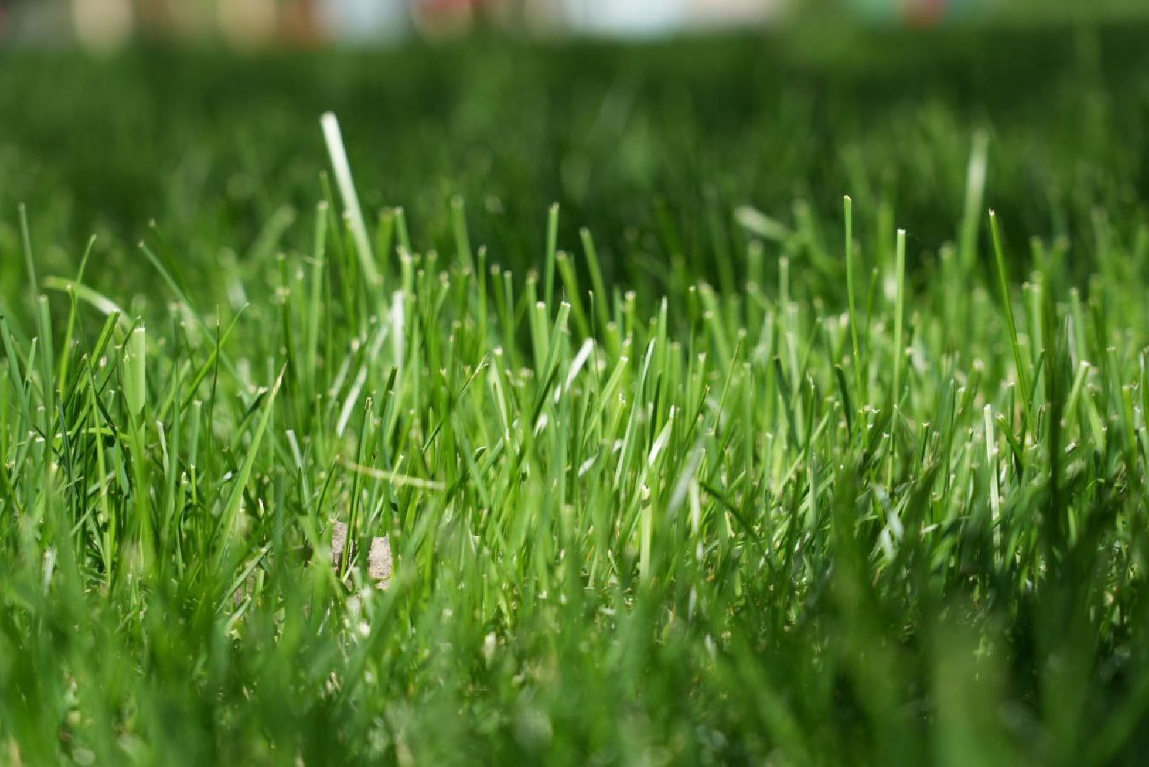 Благоустройство, Дружба поколений, Прогулочная зона, Пешеходный маршрут,