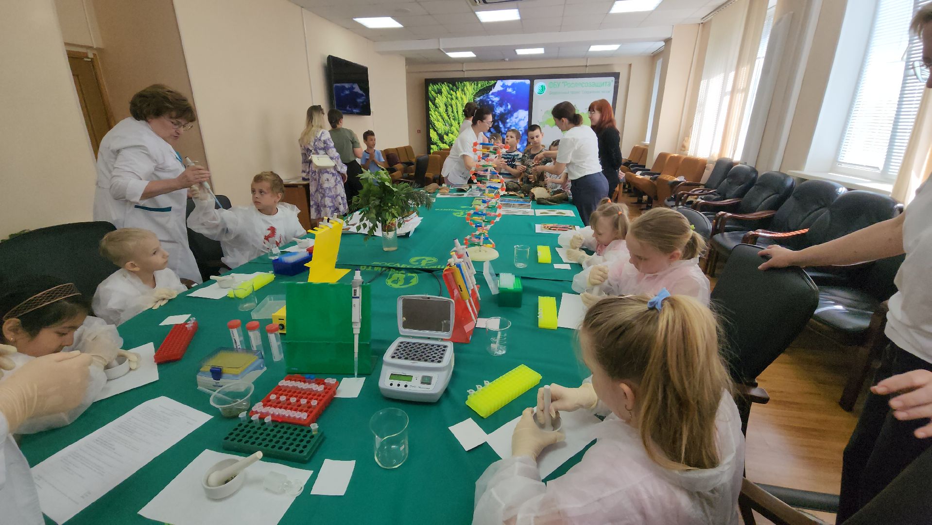 пушкино, защита природы, лес, лесная охрана, детский лагерь, школьники, экскурсия для школьников,