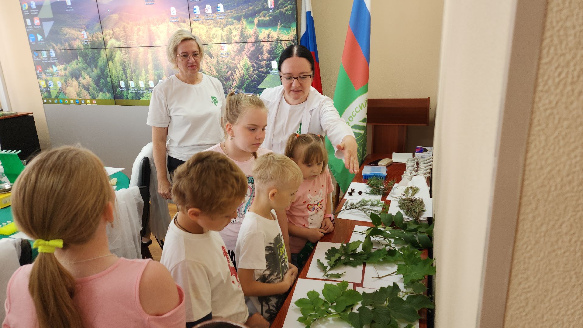 пушкино, защита природы, лес, лесная охрана, детский лагерь, школьники, экскурсия для школьников,