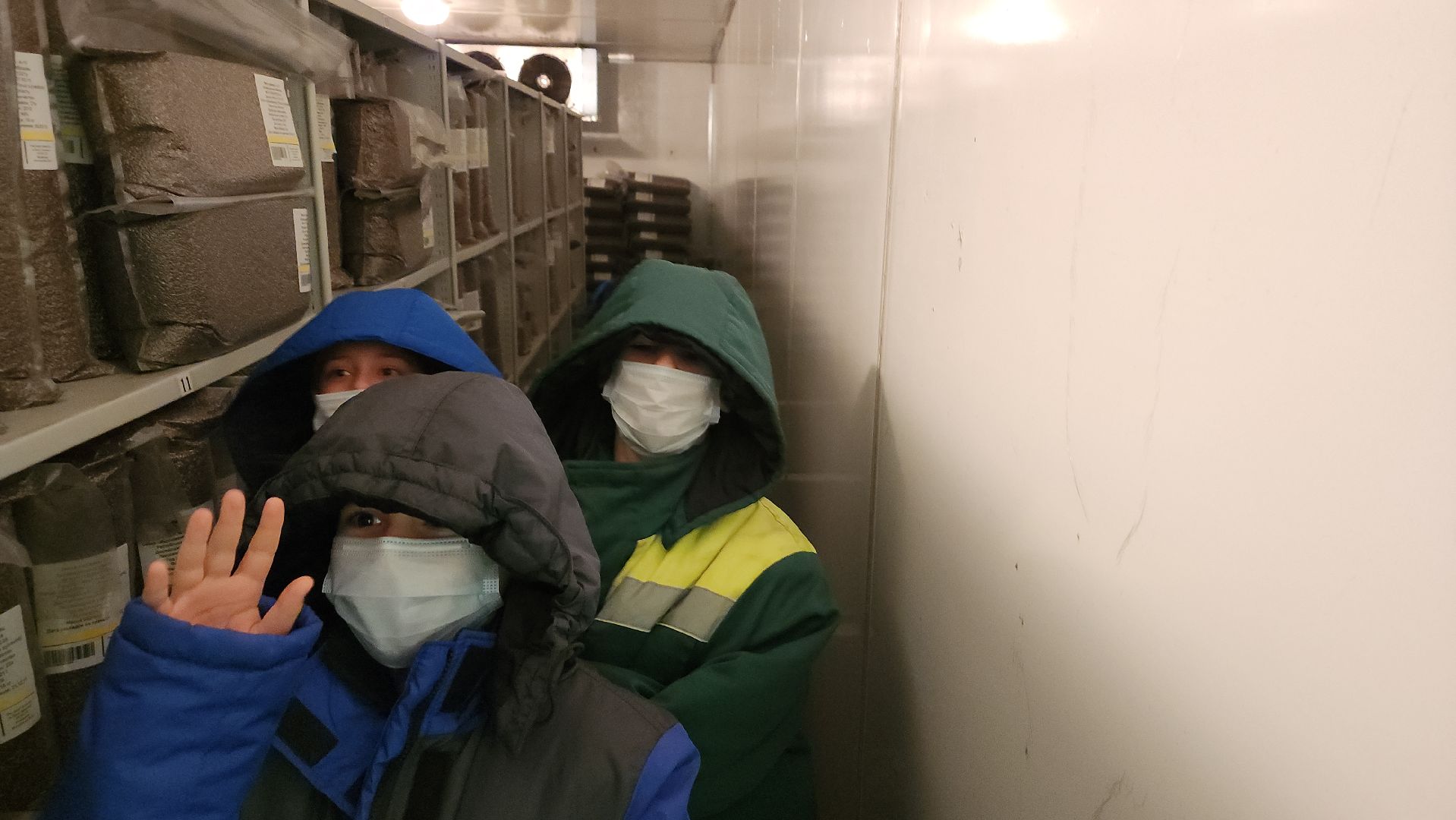 пушкино, защита природы, лес, лесная охрана, детский лагерь, школьники, экскурсия для школьников,