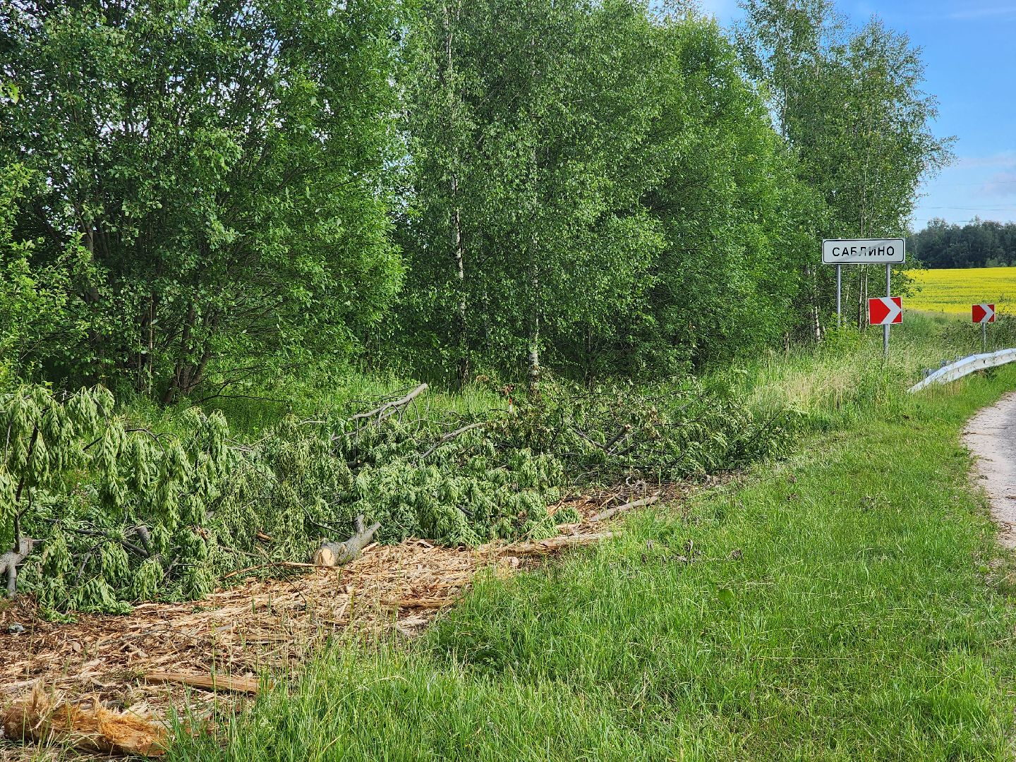 Зарайск, жкх, опил деревьев, выездная администрация,