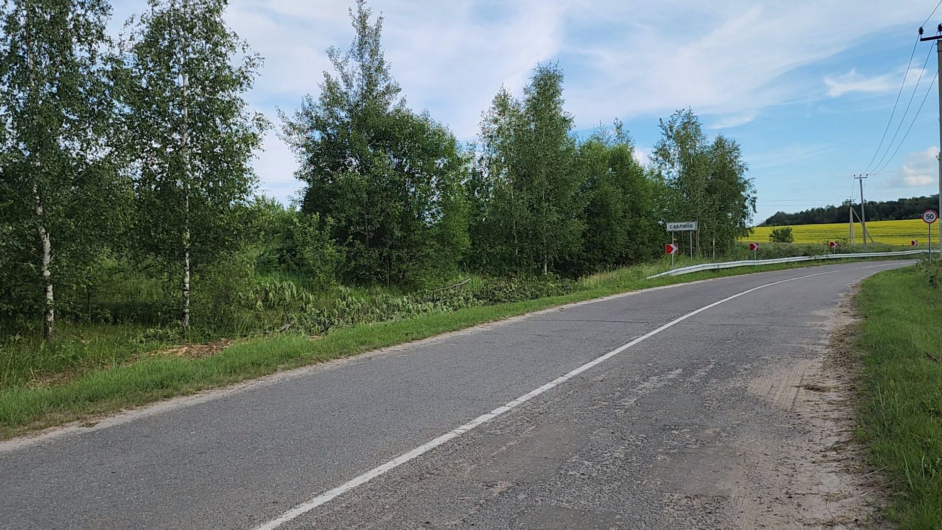 Зарайск, жкх, опил деревьев, выездная администрация,