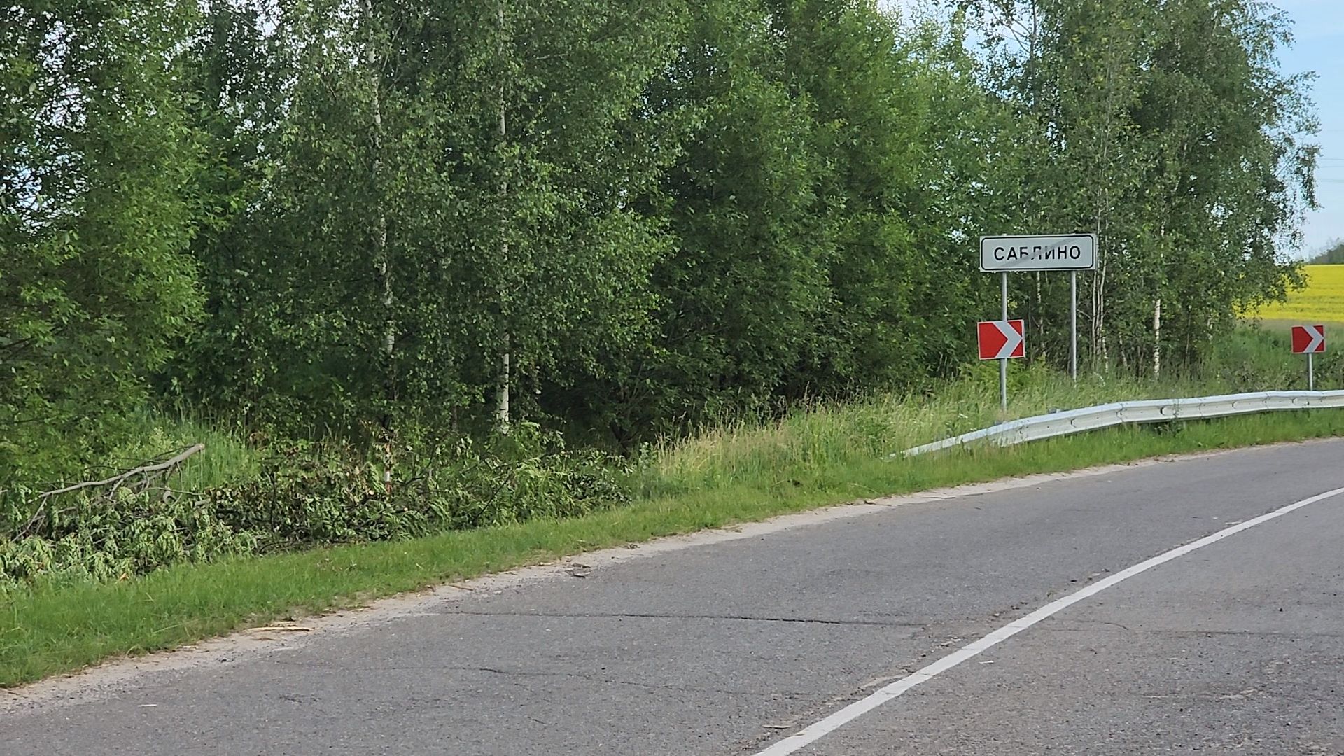 Зарайск, жкх, опил деревьев, выездная администрация,