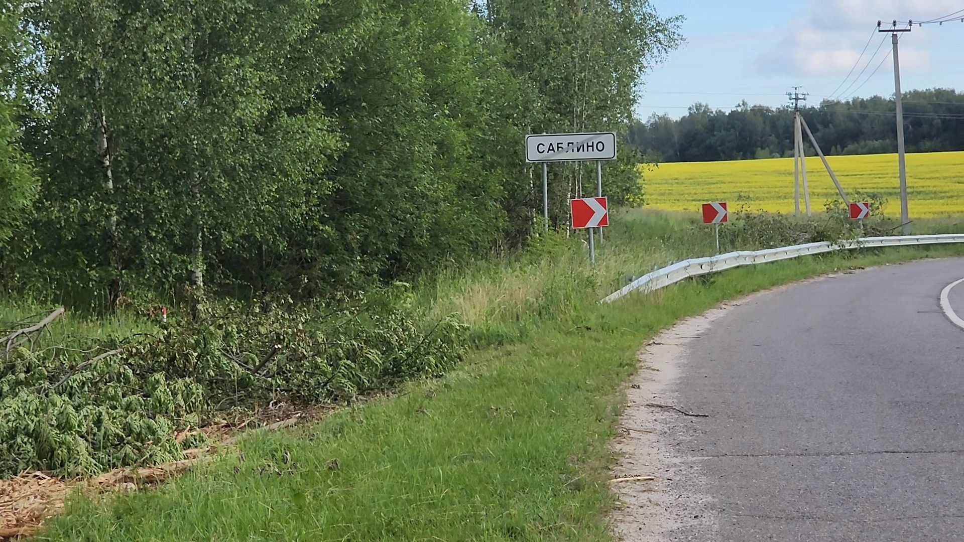 Зарайск, жкх, опил деревьев, выездная администрация,