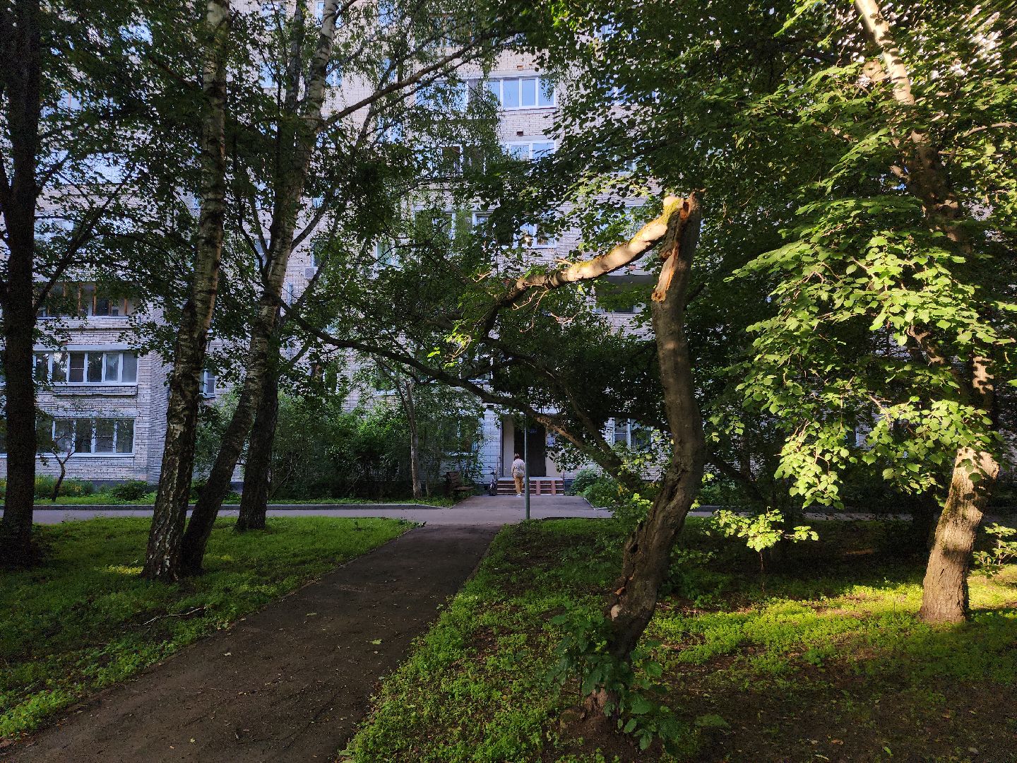 Черноголовка, Благоустройство, жкх, деревья,