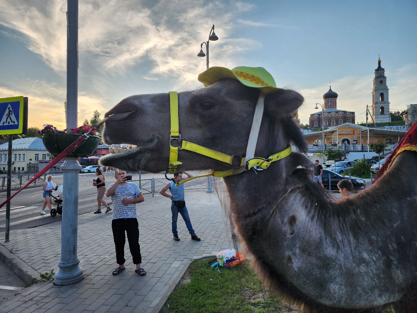 волоколамск, день молодежи, концерт,