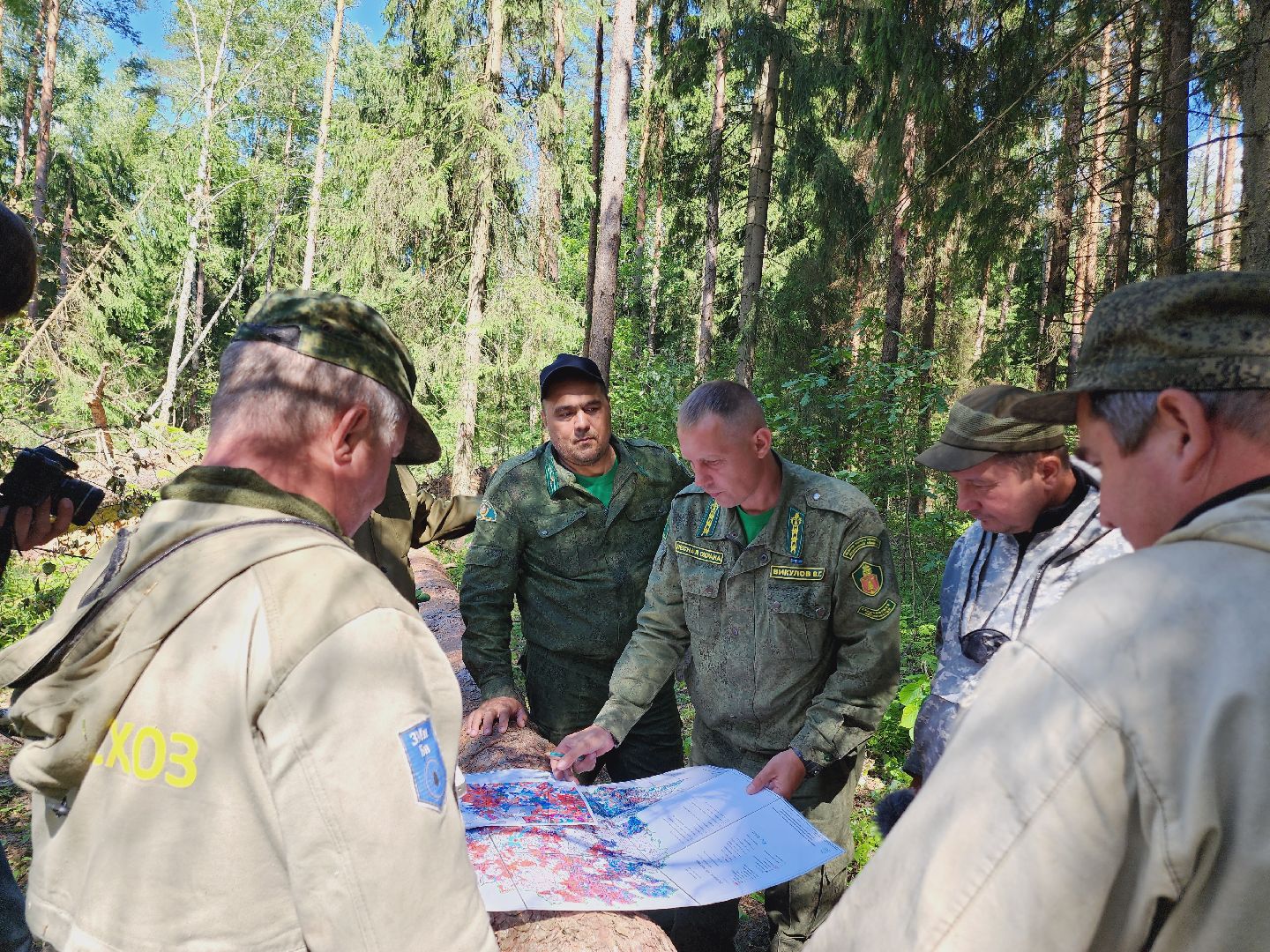 Егорьевск, Лес, егорьевское лесничество, лесники, ураган, подмосоковье, Московская область,