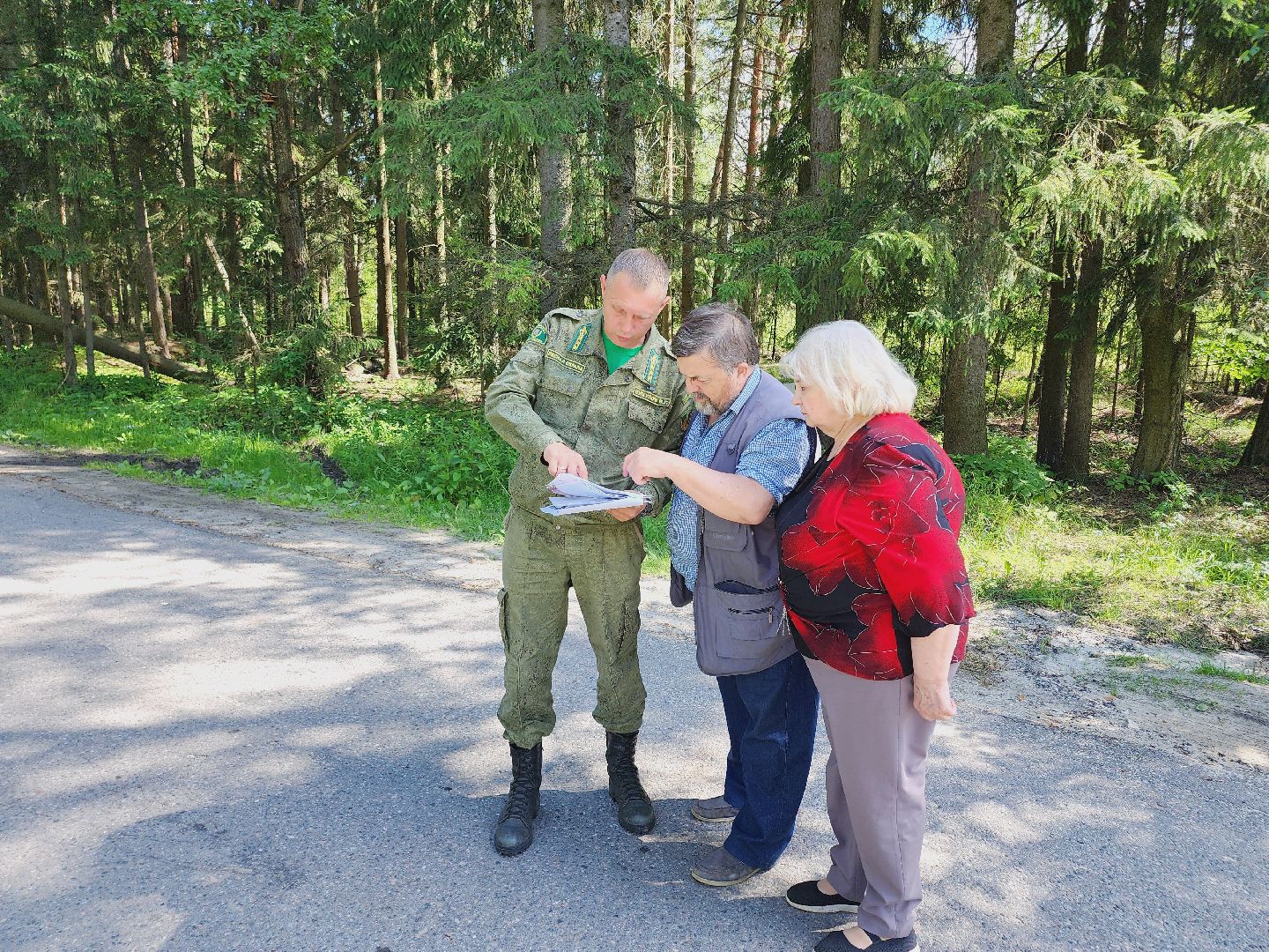 Егорьевск, Лес, егорьевское лесничество, лесники, ураган, подмосоковье, Московская область,