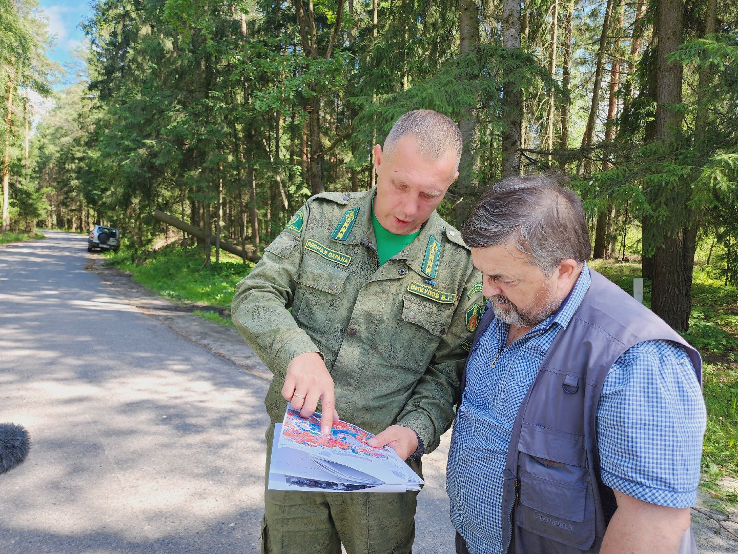Егорьевск, Лес, егорьевское лесничество, лесники, ураган, подмосоковье, Московская область,