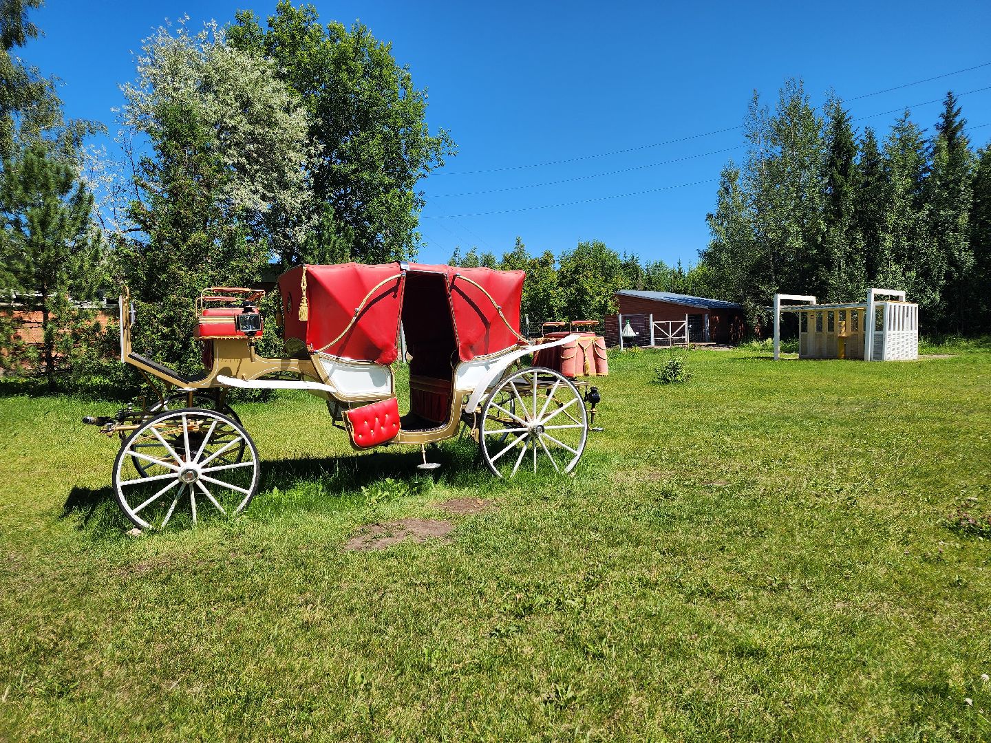 волоколамск, Редкие виды животных, Сычево, животные, зоопарк,