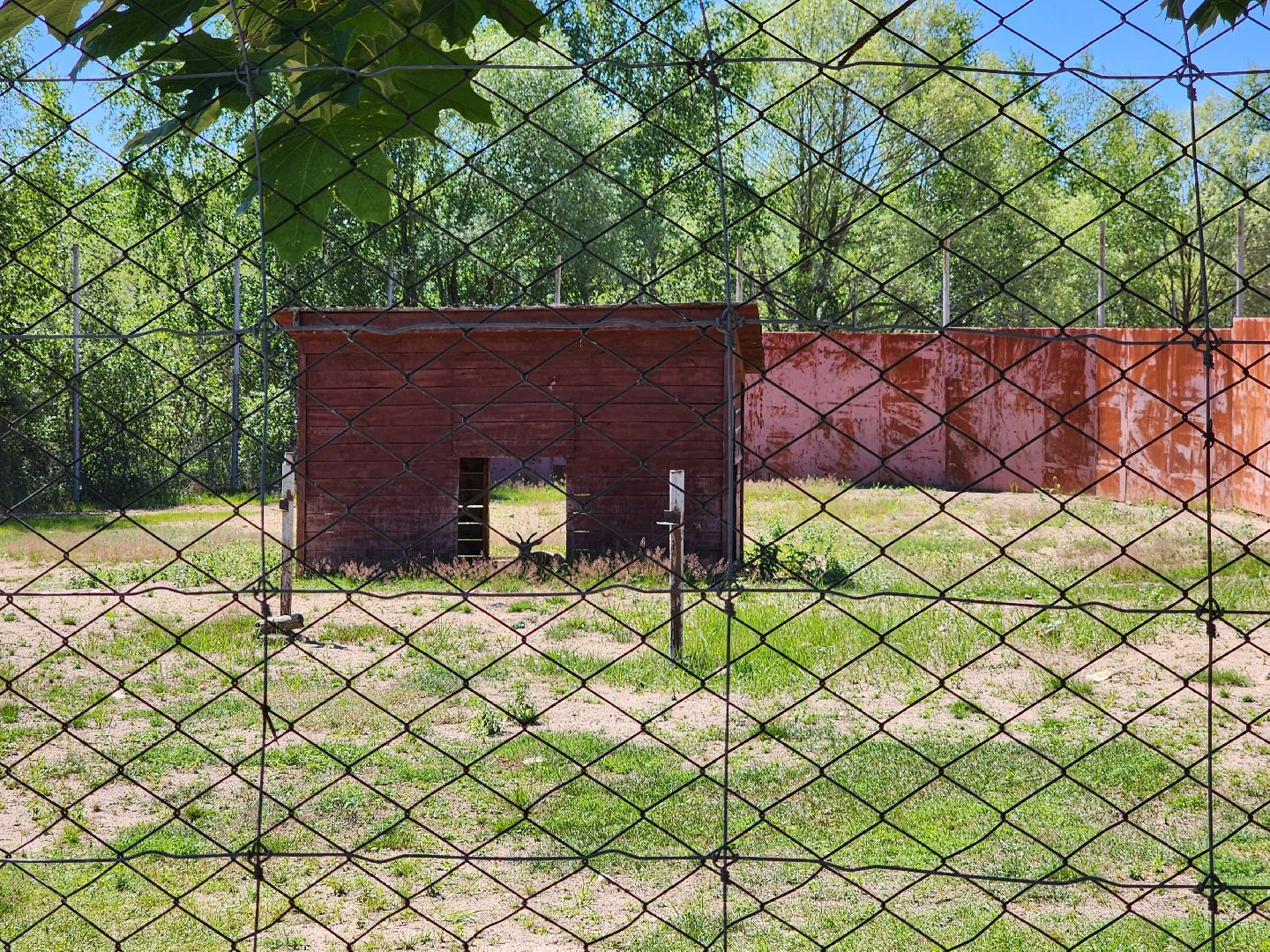 волоколамск, Редкие виды животных, Сычево, животные, зоопарк,