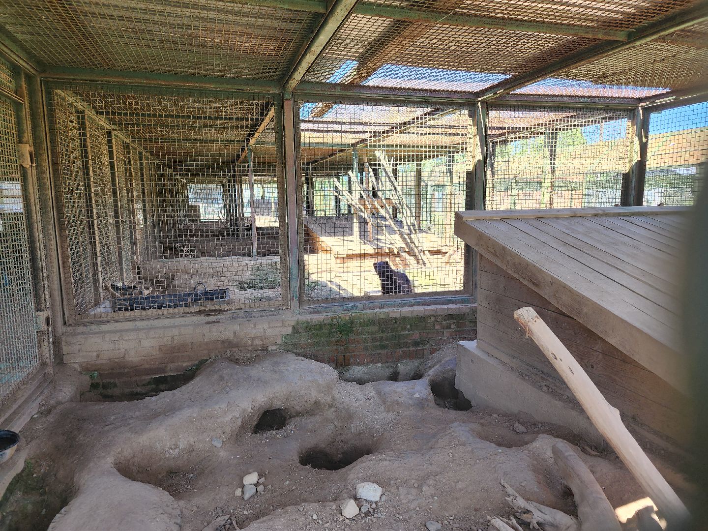 волоколамск, Редкие виды животных, Сычево, животные, зоопарк,