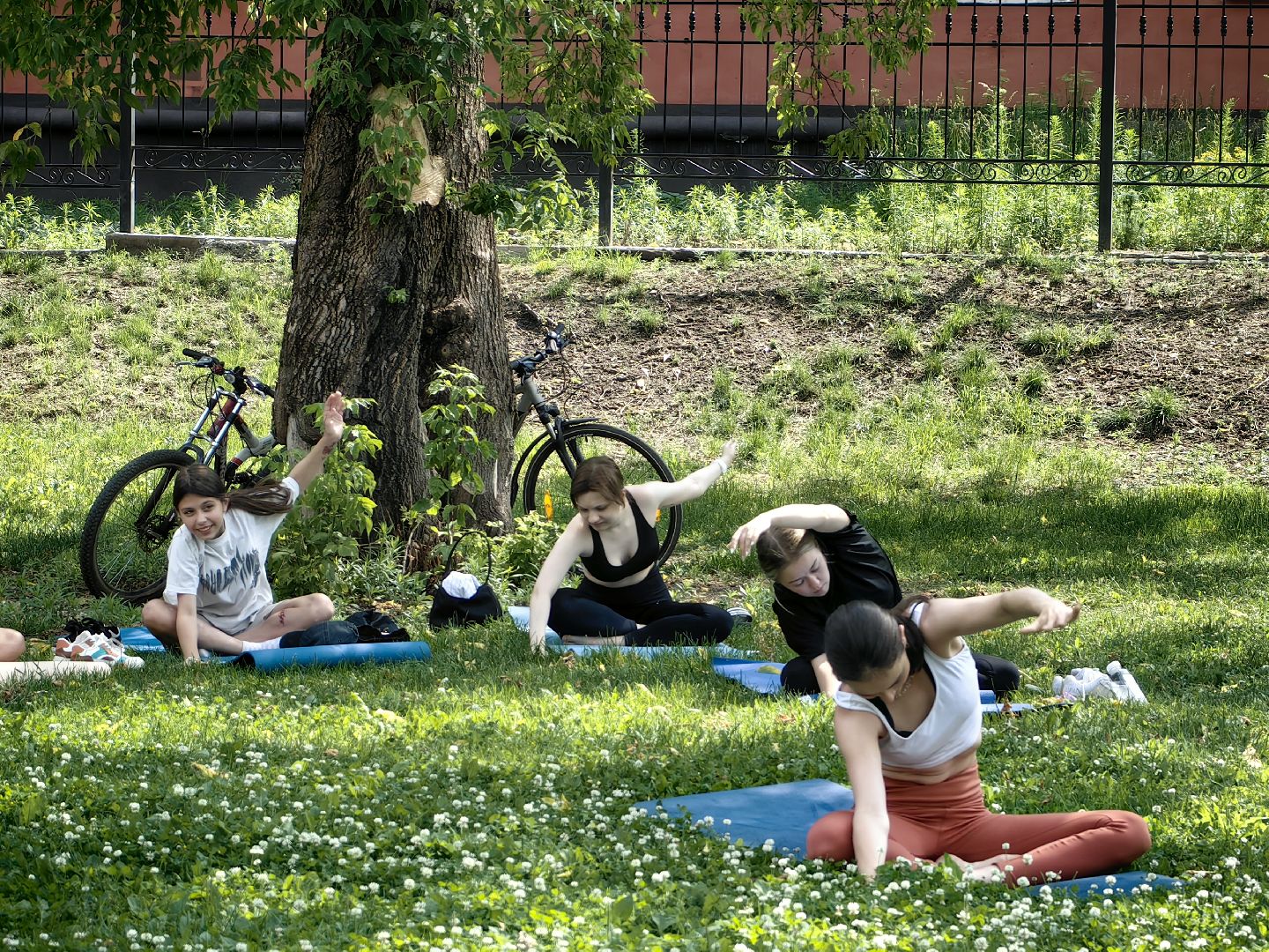 день молодежи, парк, волейбол, танцевальный батл, фестиваль красок, мастер-классы, концерт, щёлково,