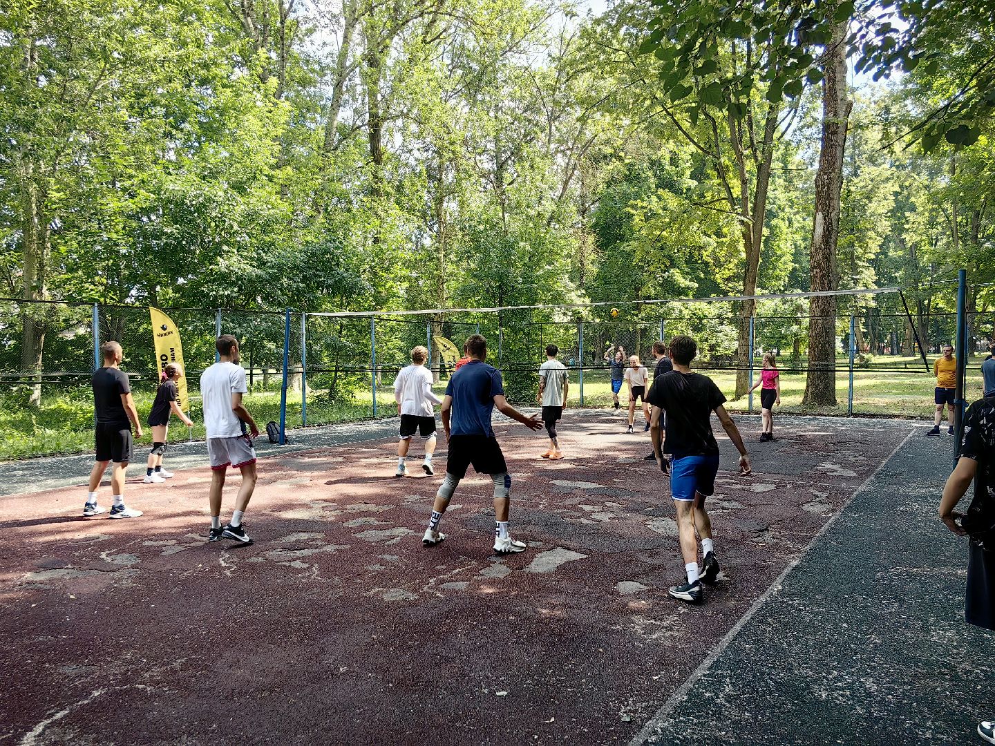 день молодежи, парк, волейбол, танцевальный батл, фестиваль красок, мастер-классы, концерт, щёлково,