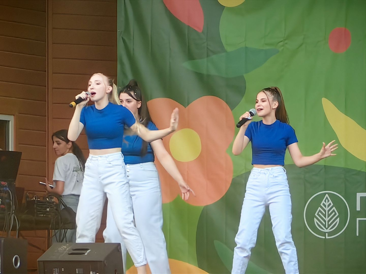 день молодежи, парк, волейбол, танцевальный батл, фестиваль красок, мастер-классы, концерт, щёлково,