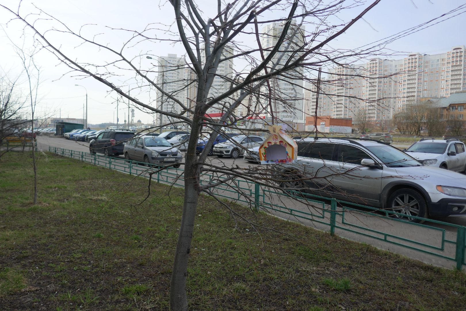 Подольск, птицы, кормушка, природа