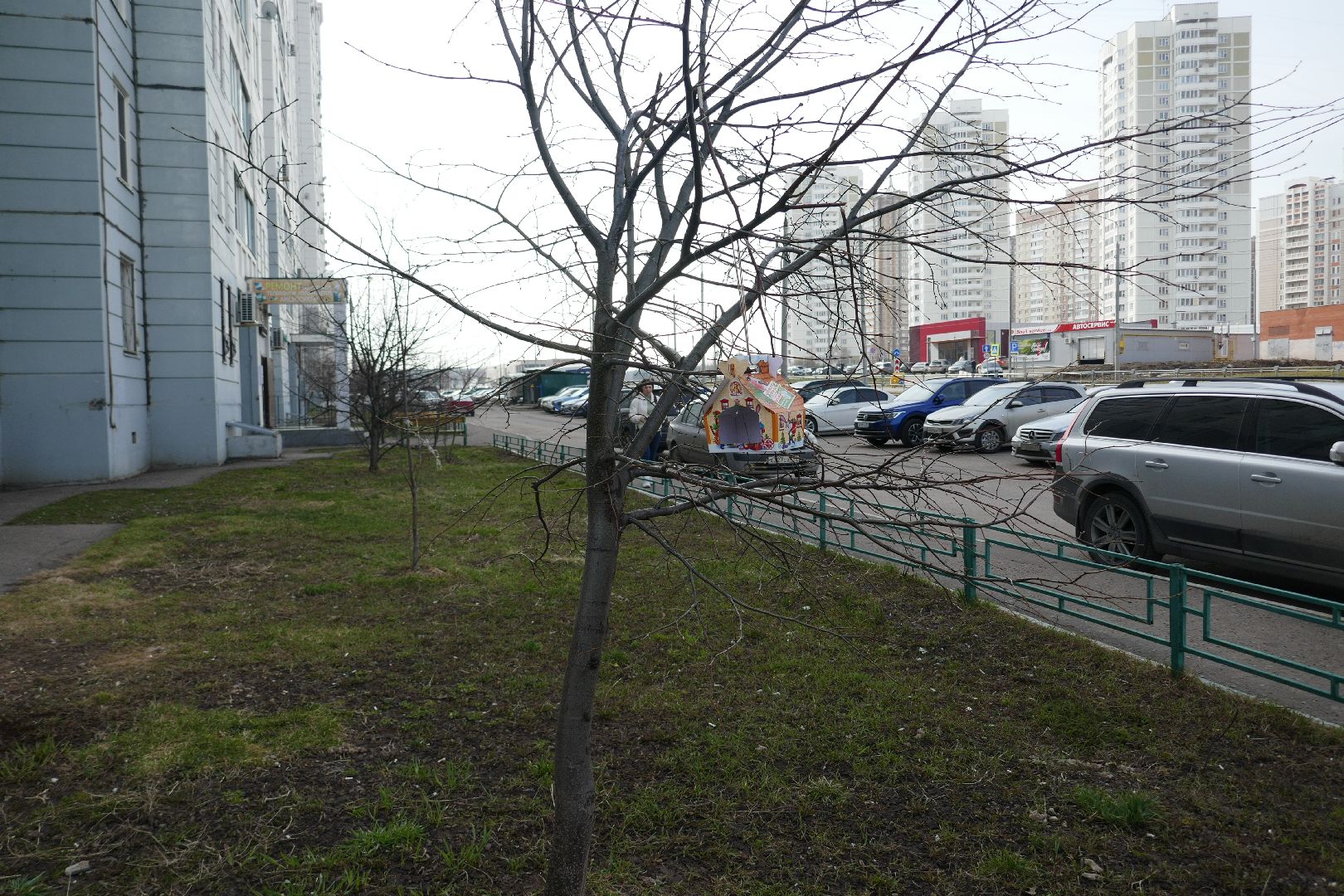 Подольск, птицы, кормушка, природа