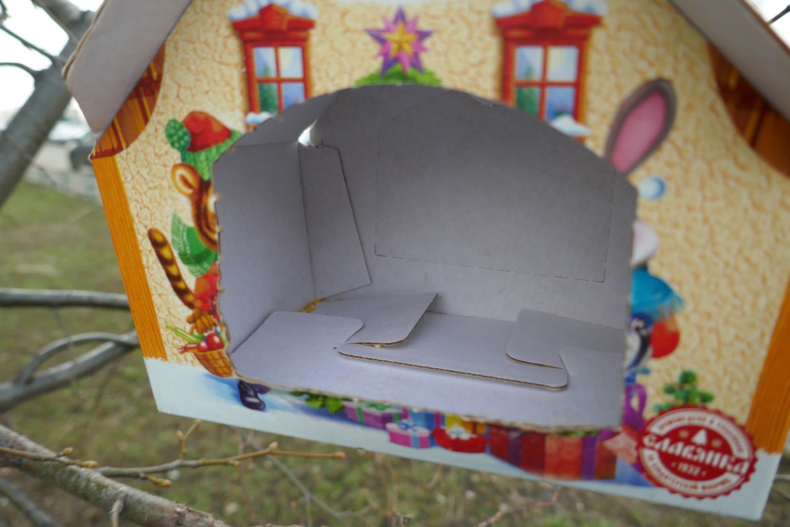 Подольск, птицы, кормушка, природа