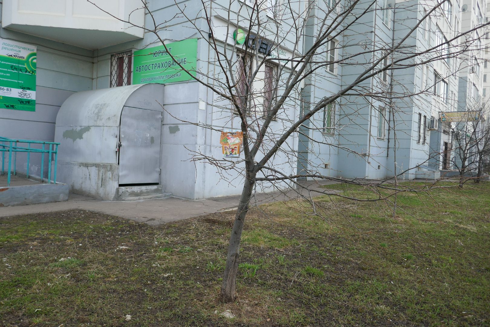 Подольск, птицы, кормушка, природа