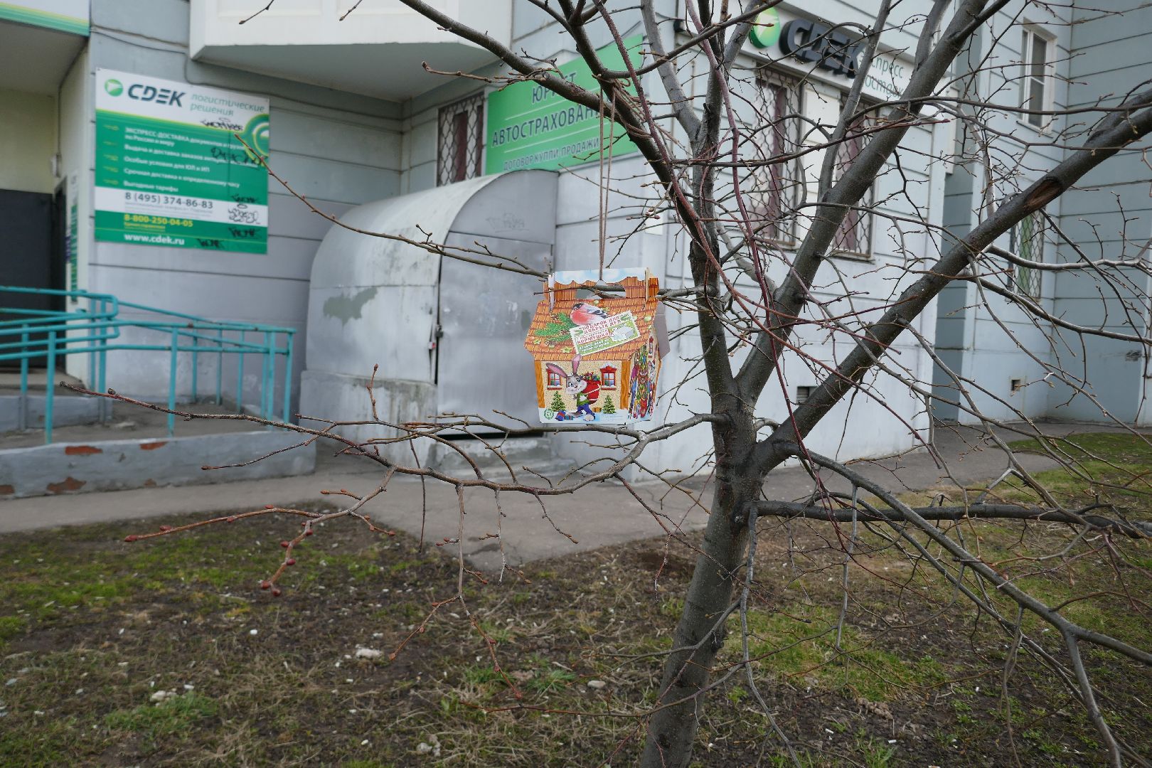 Подольск, птицы, кормушка, природа