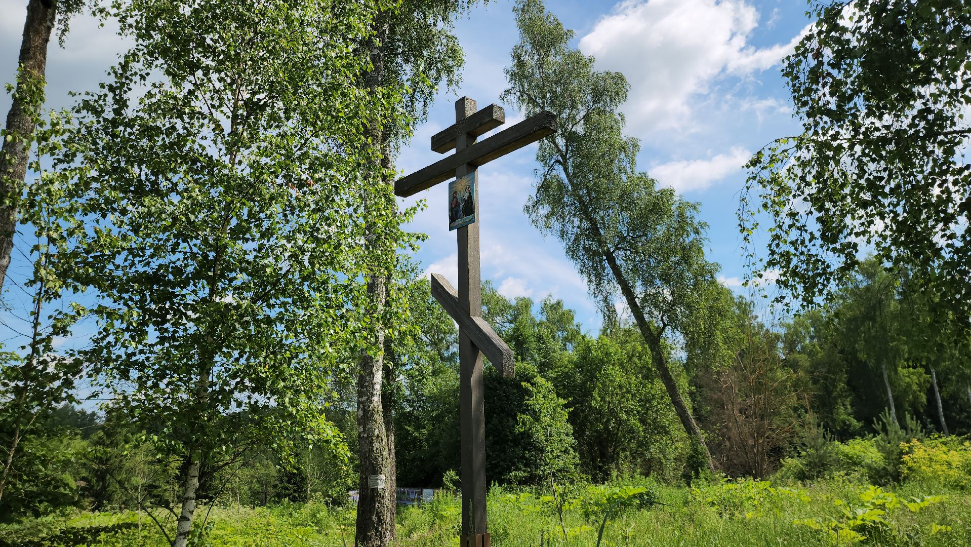 родники, анализ воды, экология, руза, рузский городской округ, московская область, подмосковье,