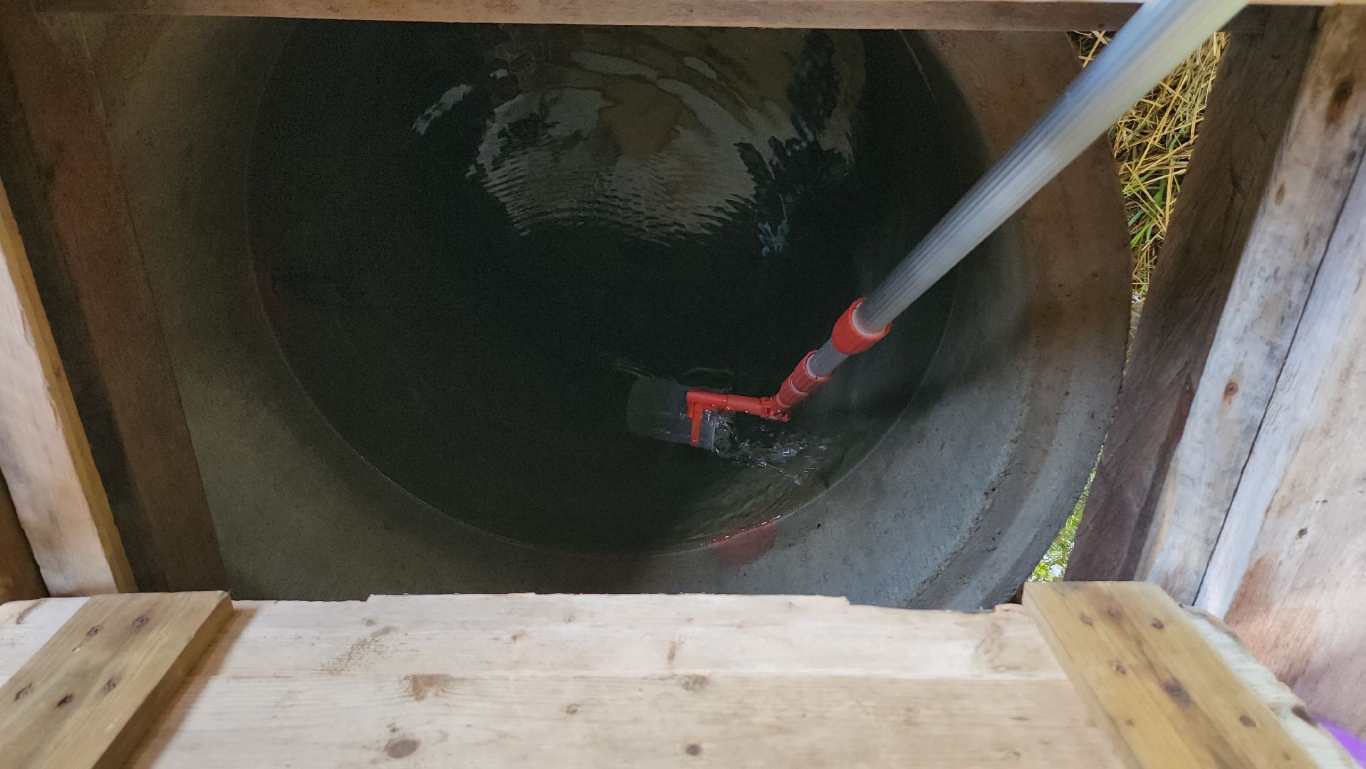 родники, анализ воды, экология, руза, рузский городской округ, московская область, подмосковье,