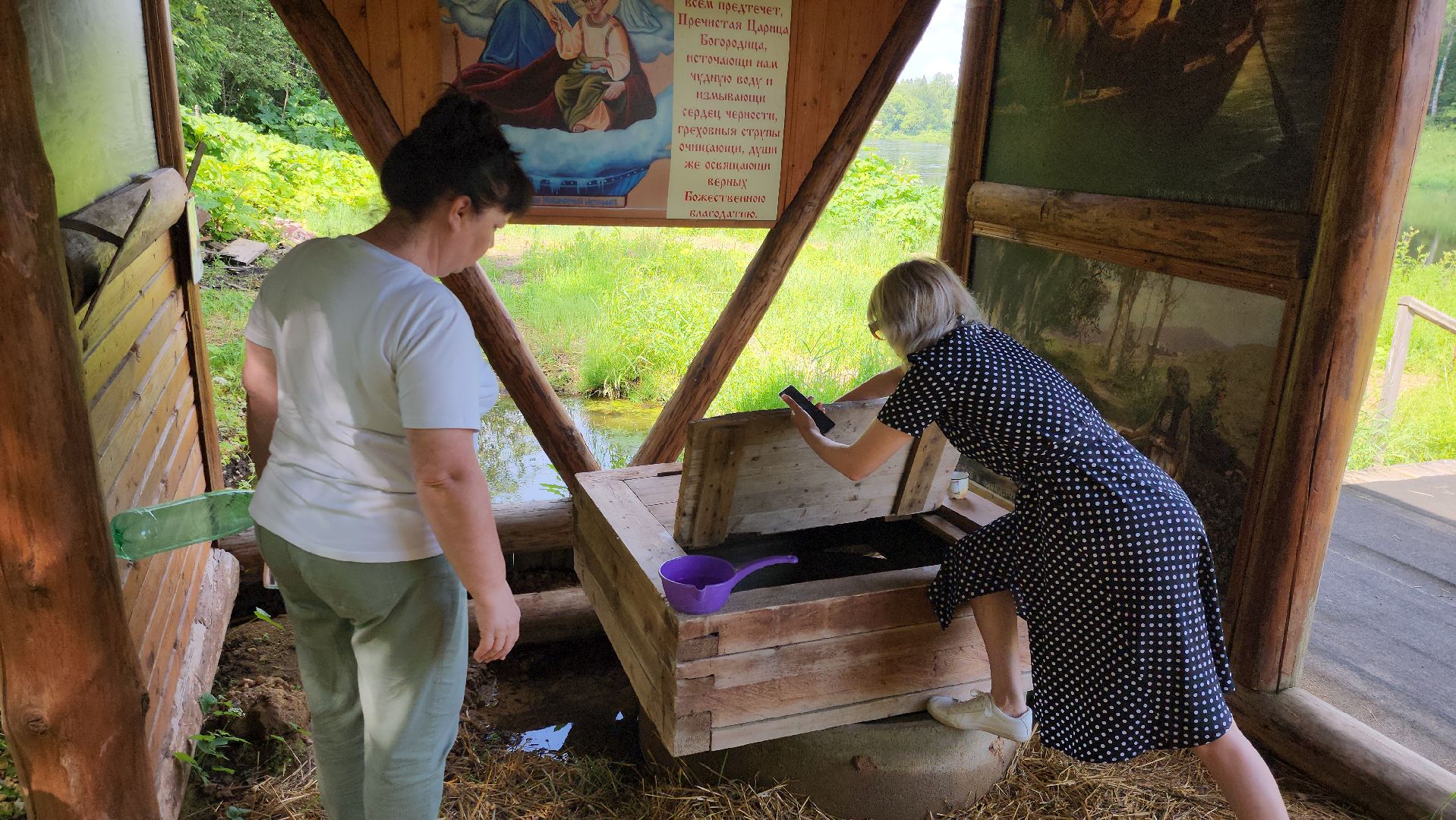 родники, анализ воды, экология, руза, рузский городской округ, московская область, подмосковье,