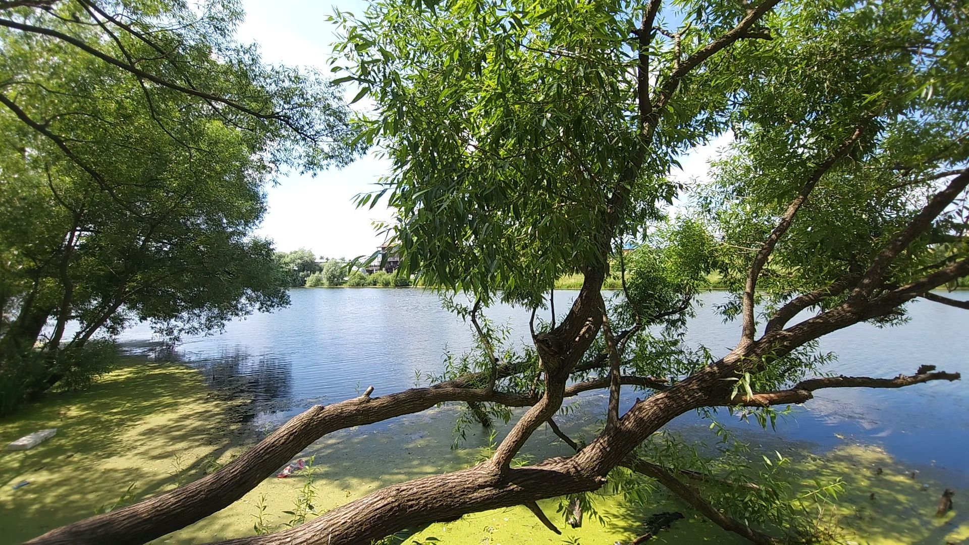 одинцово, экология, губернаторская программа, 100 прудов и озер, водоемы,