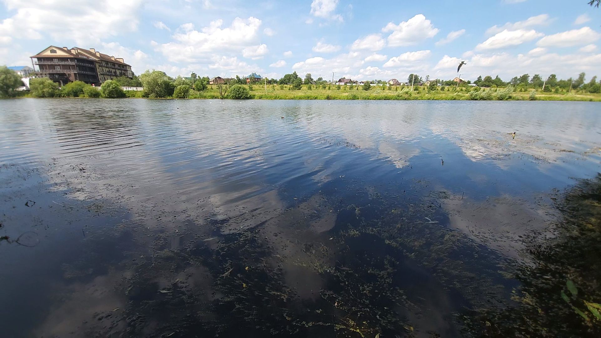 одинцово, экология, губернаторская программа, 100 прудов и озер, водоемы,