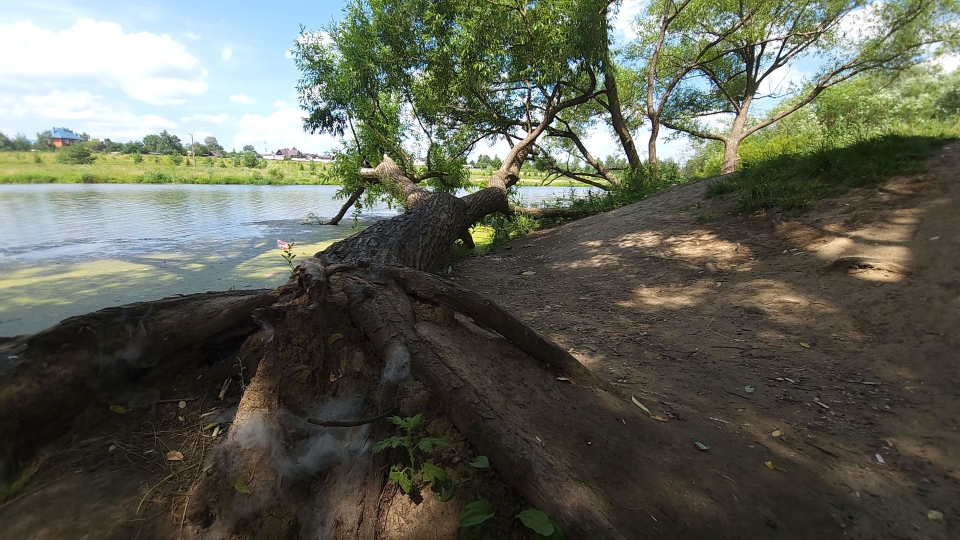 одинцово, экология, губернаторская программа, 100 прудов и озер, водоемы,